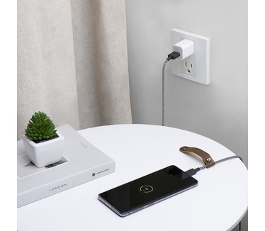 Native Union BELT-AC-ZEB-NP