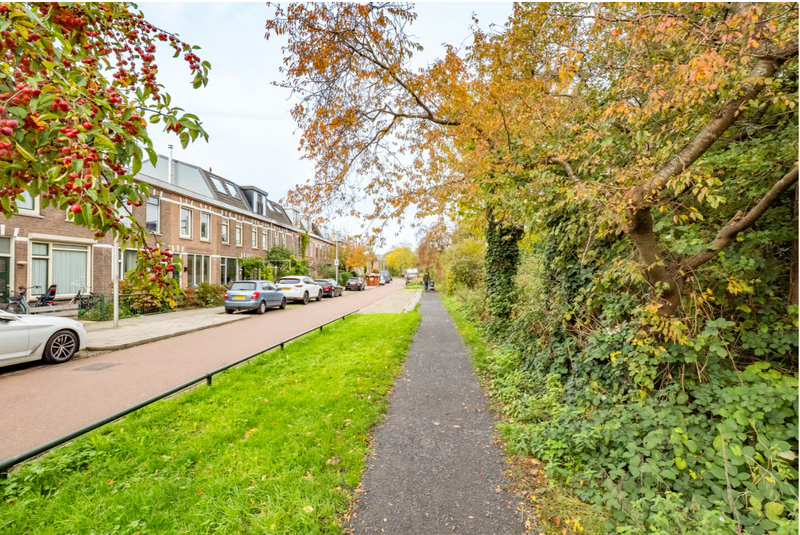 Afbeeldingslocatie: https://tweakers.net/i/zi4mDckmzdvQTnSVkGNtyvRnNKM=/800x/filters:strip_exif()/f/image/L36N0GZ0VYOsmQU9ImECCa9D.png?f=fotoalbum_large