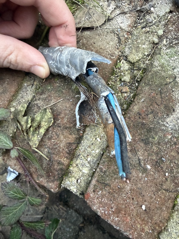 Afbeeldingslocatie: https://tweakers.net/i/zlTVRjDmf2JqXOveQiRGxJWXGrQ=/x800/filters:strip_icc():strip_exif()/f/image/R4YYtJAbStQd5sRKbWSaGNHa.jpg?f=fotoalbum_large