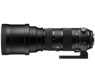 Sigma 150-600mm f/5-6.3 DG OS HSM Sports (Sigma)