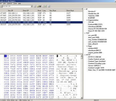 IP Sniffer (groot)