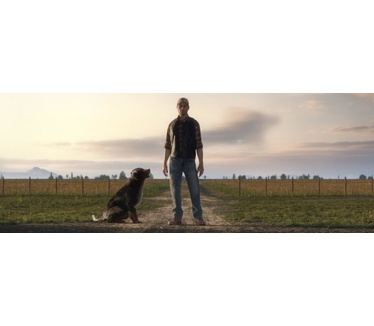 Farming Simulator 19: Platinum Edition, Windows