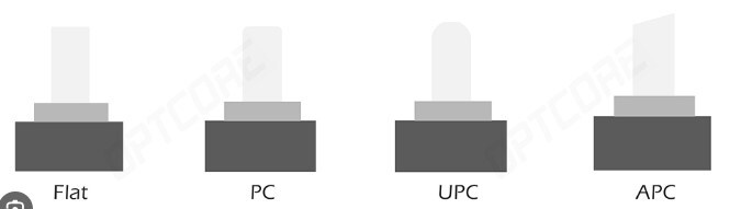 Afbeeldingslocatie: https://tweakers.net/i/znXegkLXGHxmyPz71-xLIQAwspg=/fit-in/4920x3264/filters:max_bytes(3145728):no_upscale():strip_icc():strip_exif()/f/image/jQ4e8TPIX1dvO8TuQqLC9EEx.jpg?f=user_large