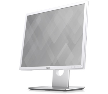 Dell P1917S