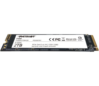 Patriot Memory P300