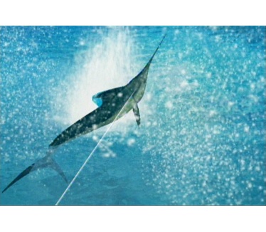 Reel Fishing: Angler's Dream