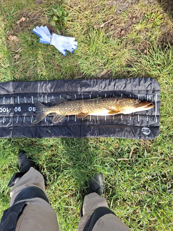 Afbeeldingslocatie: https://tweakers.net/i/zrcrCtk9n8q4uRUPxo9a35BdfdI=/x800/filters:strip_icc():strip_exif()/f/image/aH8t201lf4hJhdNIoSuhMBpu.jpg?f=fotoalbum_large