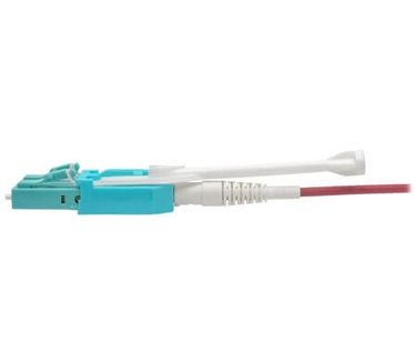 Tripp-Lite N821-06M-MG-T