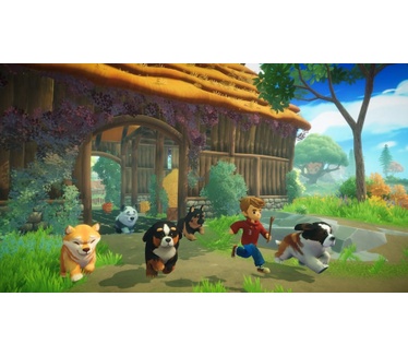 Everdream Valley