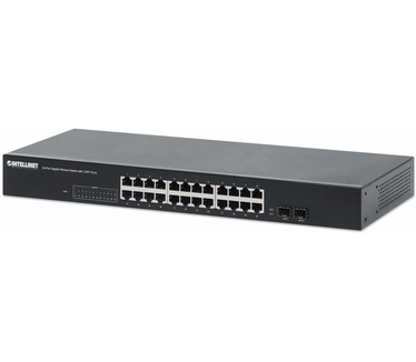 Intellinet 561877