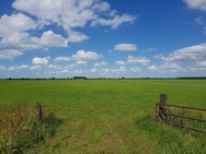 Praktijkfoto's