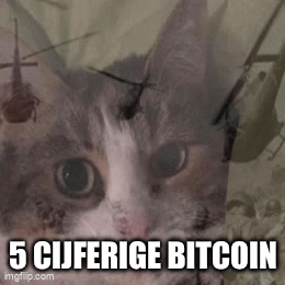 Afbeeldingslocatie: https://tweakers.net/i/zy8TjOjh6-BMA6o48xMZMrnVoBs=/fit-in/4000x4000/filters:no_upscale():gifsicle():strip_exif()/f/image/uc7Yb9lx01rfzv96TbEpGOdZ.gif?f=user_large