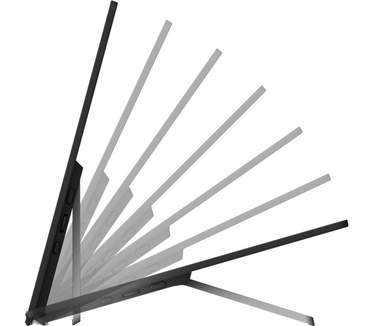 Ricoh Draagbare monitor 150