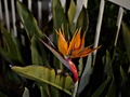 Nikon D3200 samples